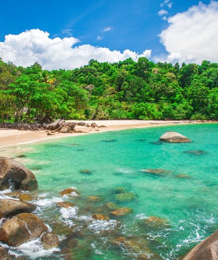 Ein verlassener Sandstrand an einer kristallklaren, türkisblauen Bucht mit großen Felsen im Wasser und einem dicht bewachsenen, grünen Dschungel. Ein verlassener Sandstrand an einer kristallklaren, türkisblauen Bucht mit großen Felsen im Wasser und einem dicht bewachsenen, grünen Dschungel.